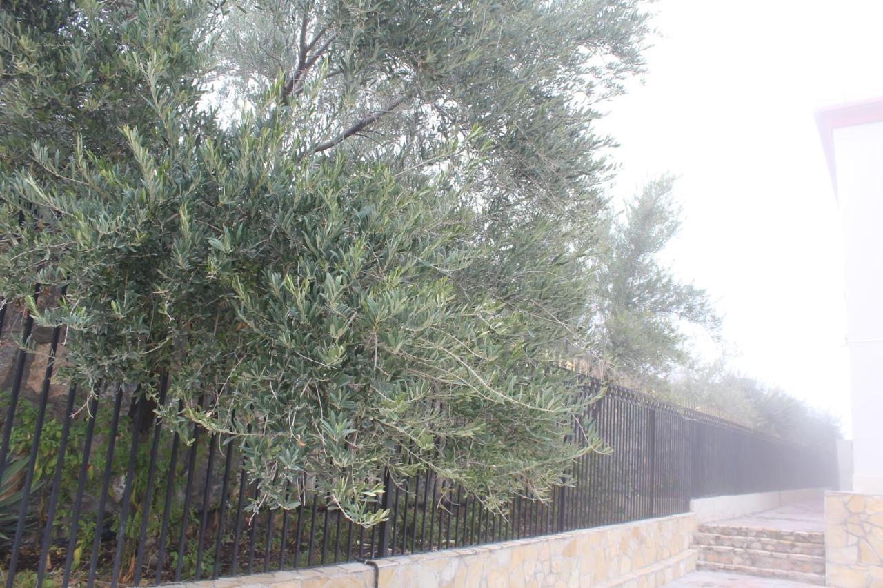 Asas Al Jabal Al Akhdar Apartments شقق أساس الجبل الأخضر Sayq Eksteriør billede